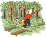 Ser du skogen för alla träd?